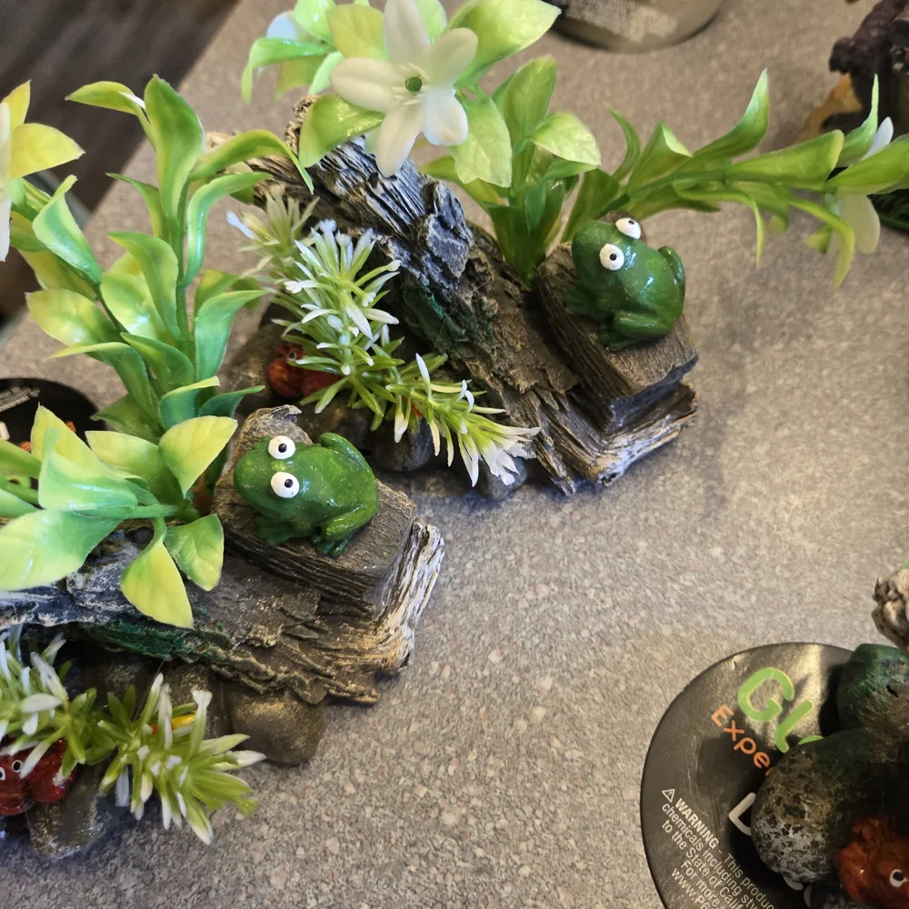 Aquarium Decoration with Red Crab and Green Plants